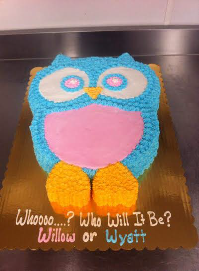 Owl Gender Reveal Cake Philadelphia PA